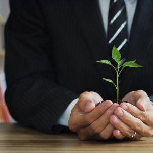 Mehr Nachhaltigkeit im Büroalltag